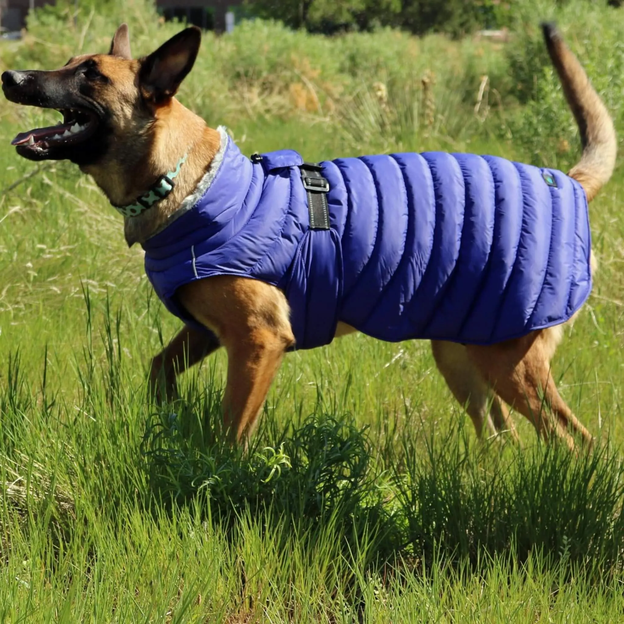 Alpine Extreme Weather Puffer Dog Coat - Blue